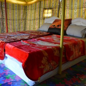 Fixed Camp (1)