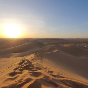 Desert Safari – Emty Quarter – Rub al Khali (4)_2