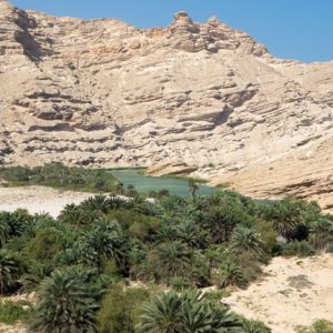 Wadi Ash Shuwaymiyyah_3