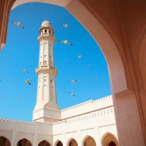 عرض تقديمي عن شركة سياحة – 50