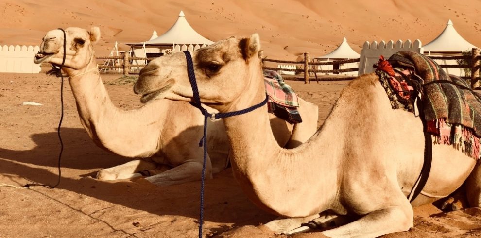 Wahiba Sands