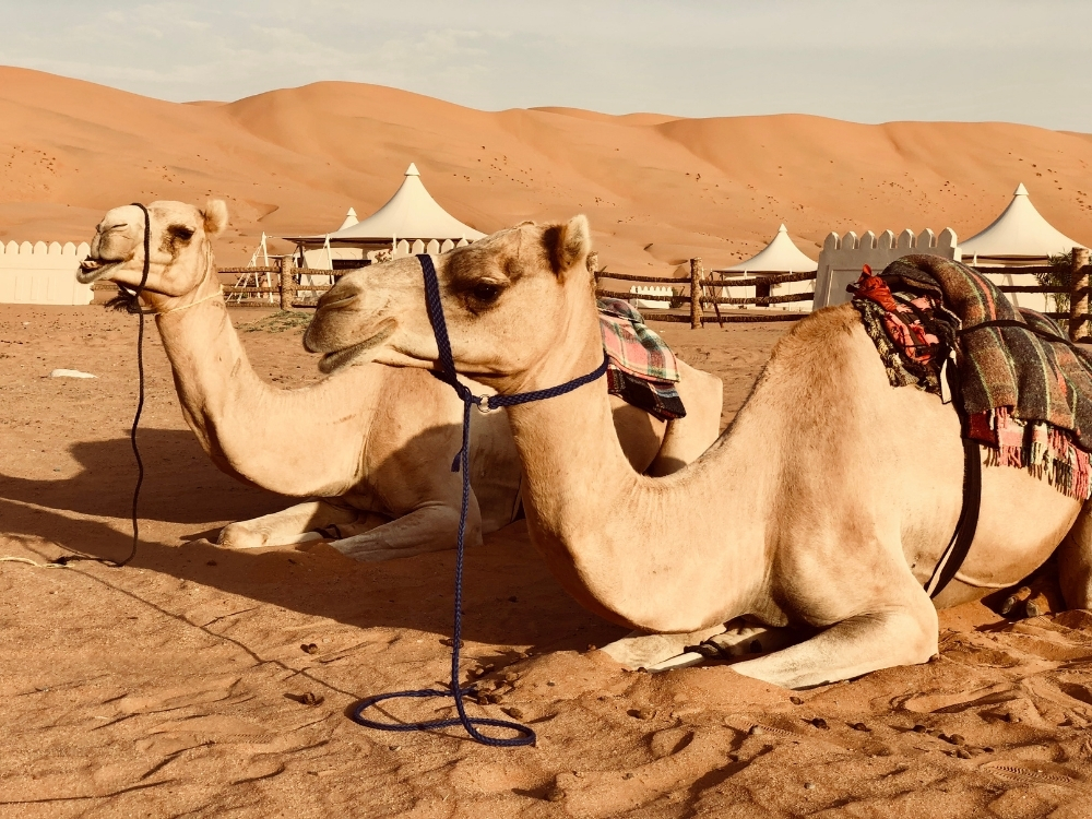 Wahiba Sands